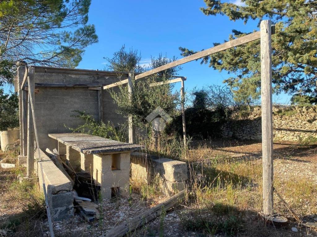 immagine annuncio 5 di 12