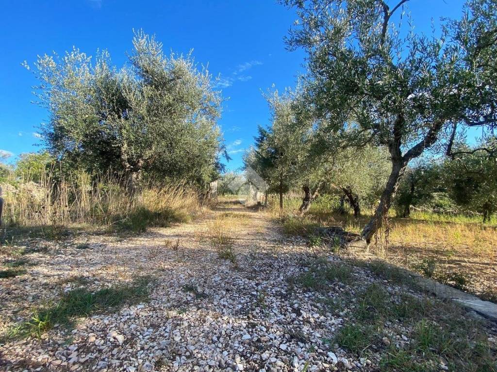 immagine annuncio 11 di 12