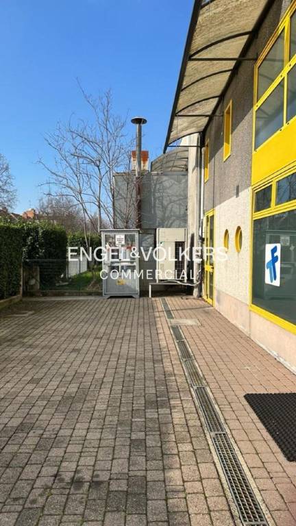 immagine annuncio 7 di 11