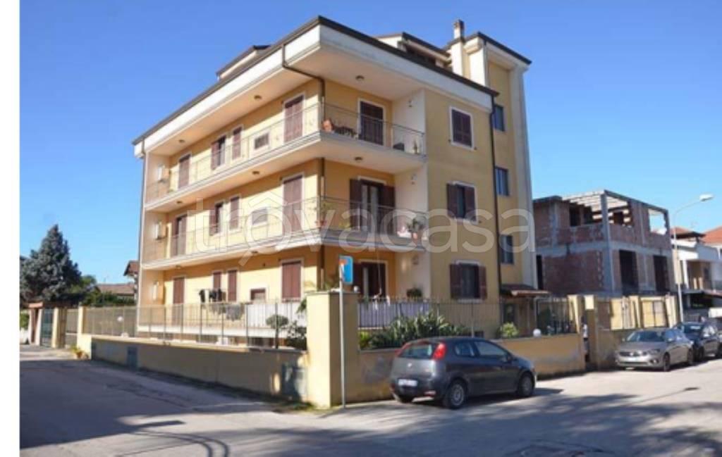 immagine annuncio 6 di 11