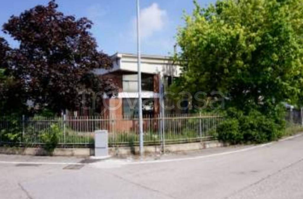 immagine annuncio 3 di 11
