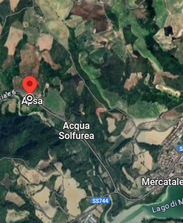 immagine annuncio 1 di 11