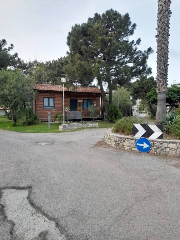 immagine annuncio 1 di 9