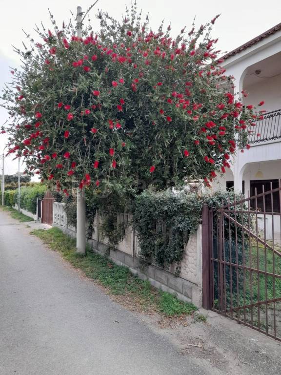 immagine annuncio 4 di 9
