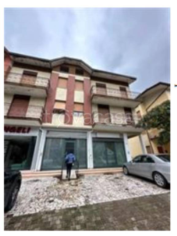 immagine annuncio 10 di 11