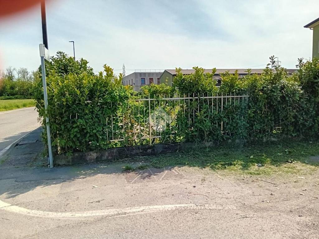 immagine annuncio 7 di 9