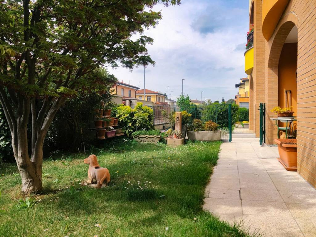 immagine annuncio 2 di 13