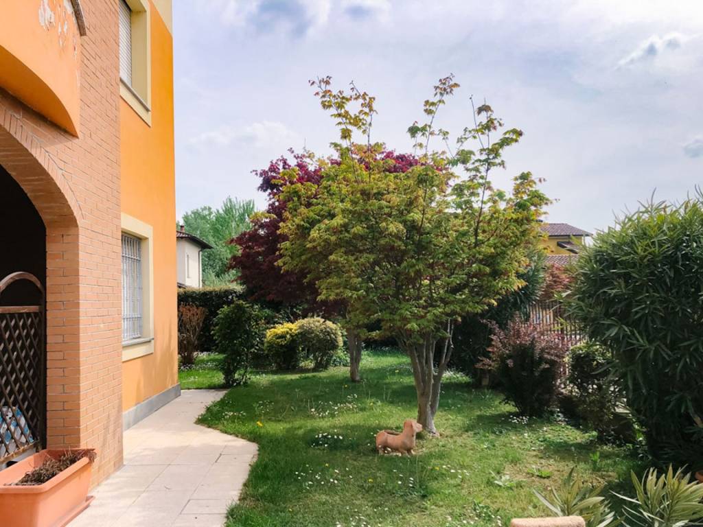immagine annuncio 6 di 13