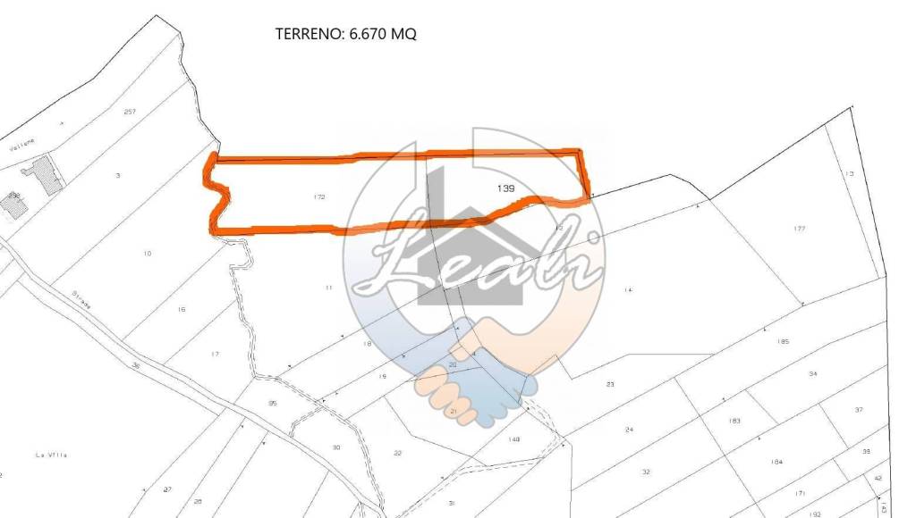 immagine annuncio 1 di 2