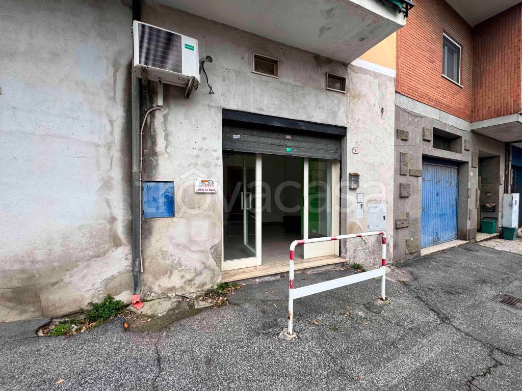immagine annuncio 2 di 13