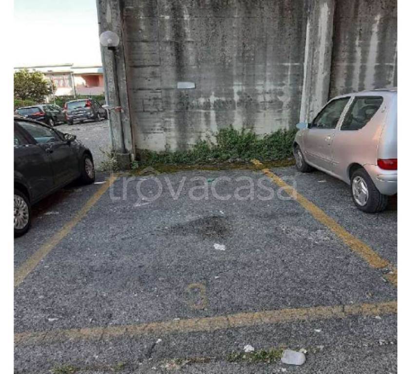 immagine annuncio 12 di 13