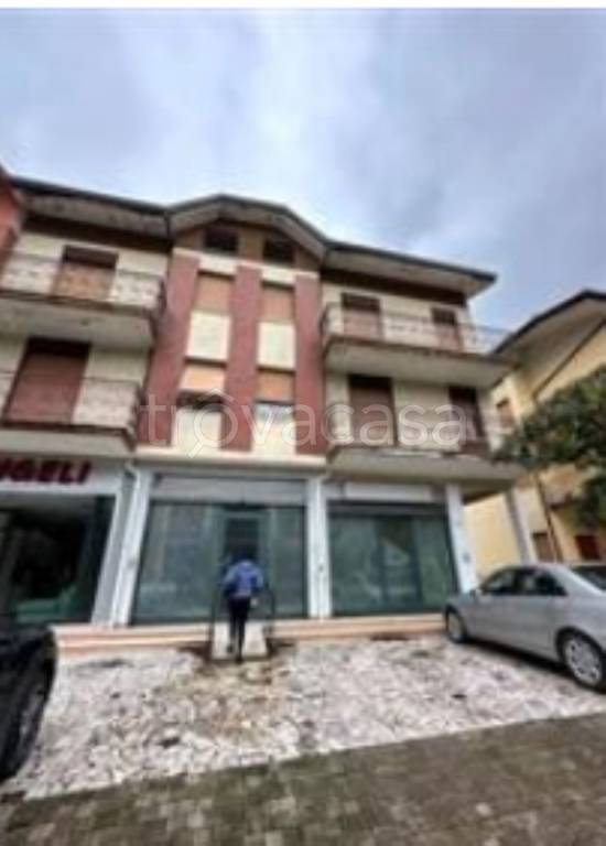 immagine annuncio 2 di 12