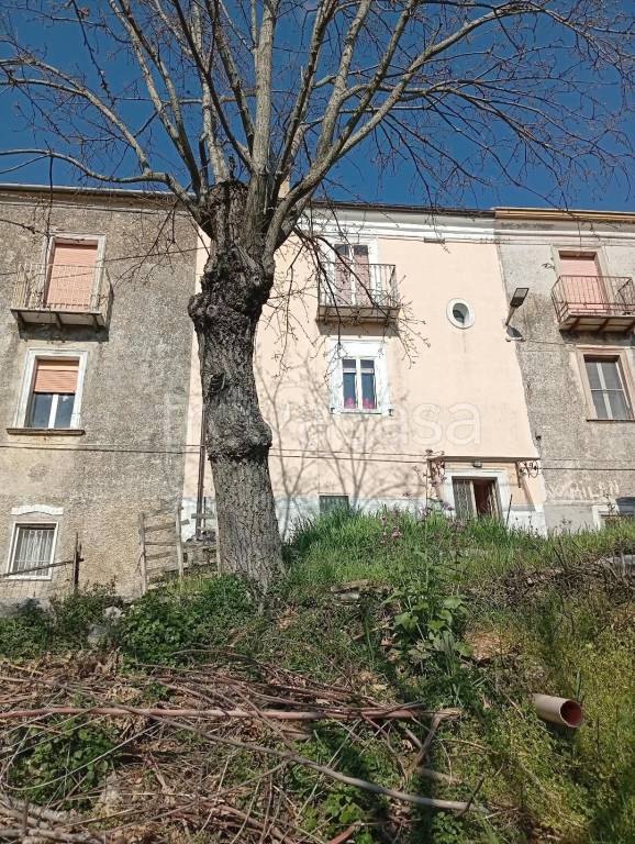 immagine annuncio 3 di 14