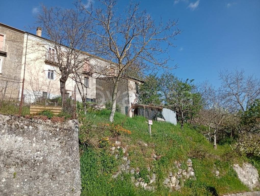 immagine annuncio 4 di 14