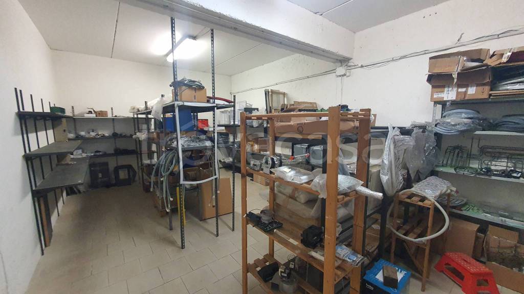 immagine annuncio 3 di 11