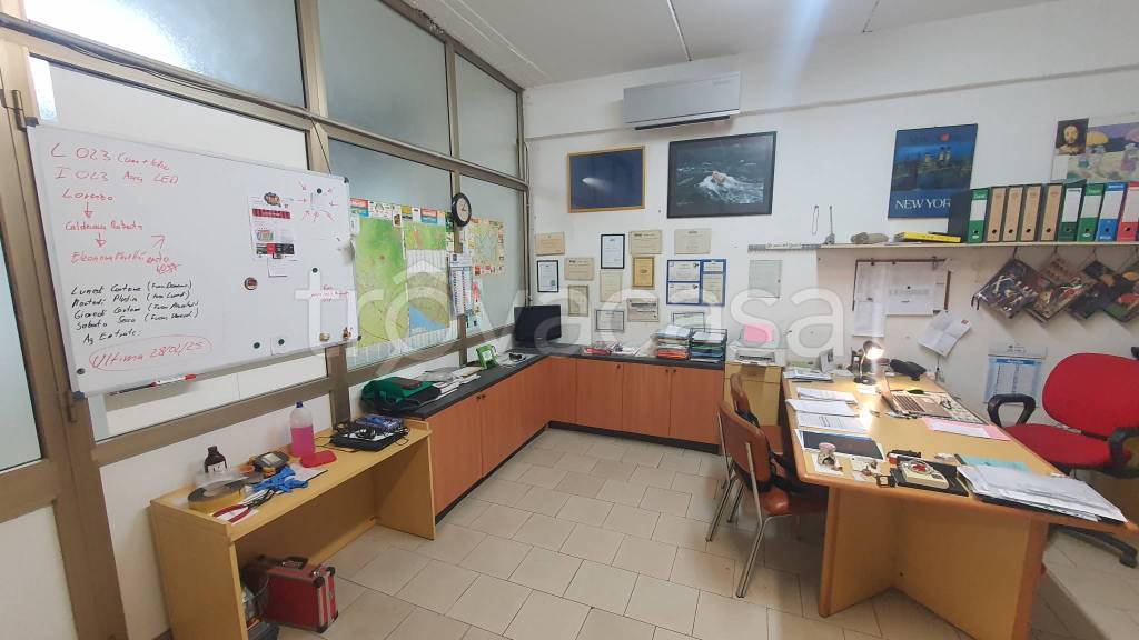 immagine annuncio 9 di 11