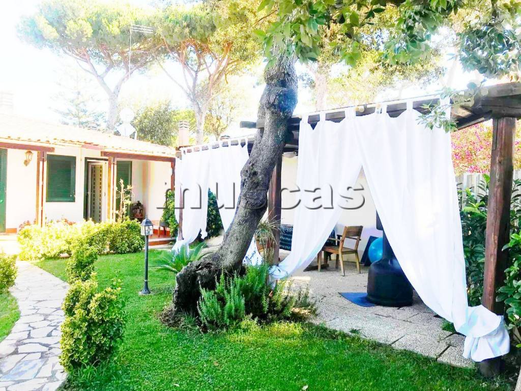 immagine annuncio 4 di 8