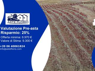 Terreno agricolo all'asta a rovescala frazione ca' nova