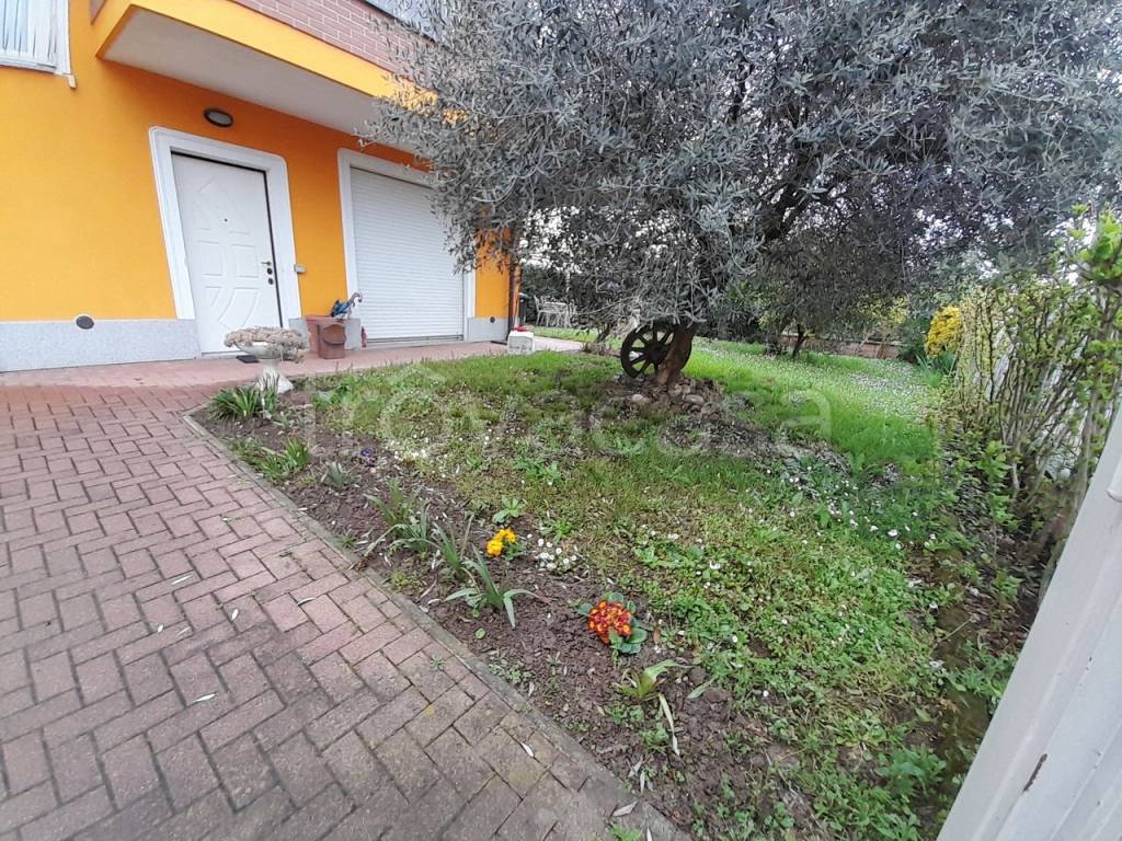 immagine annuncio 9 di 15
