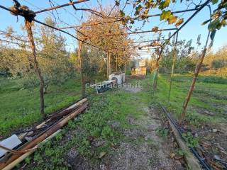 Terreno agricolo in vendita a cecina via francesco domenico guerrazzi