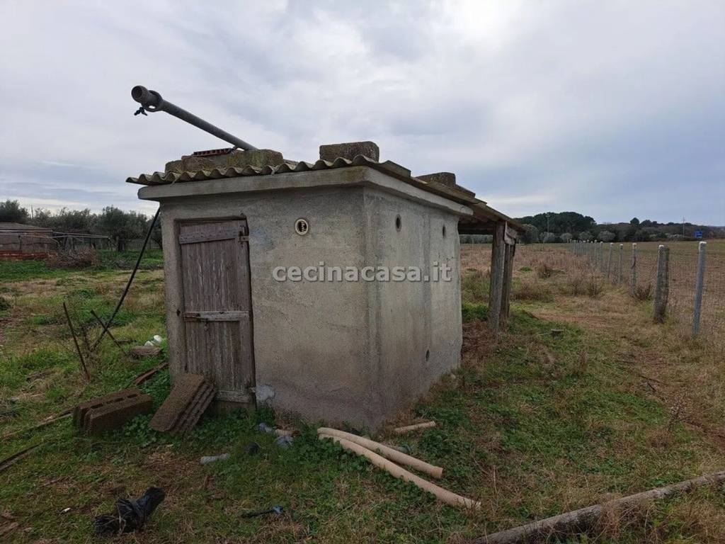 immagine annuncio 1 di 6