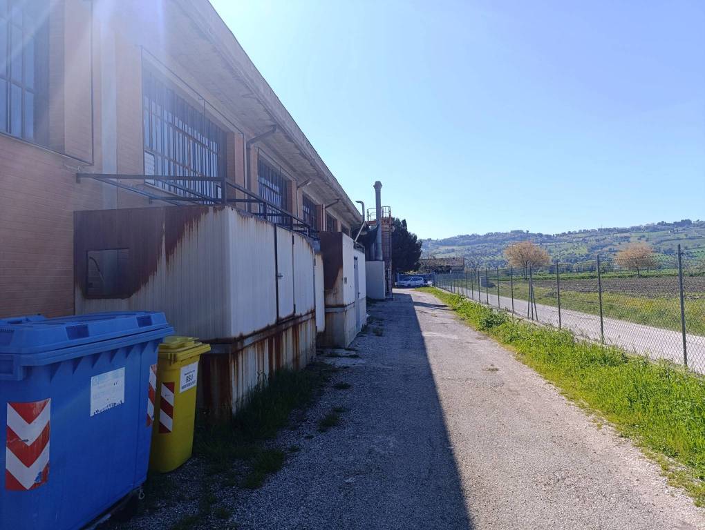 immagine annuncio 5 di 14