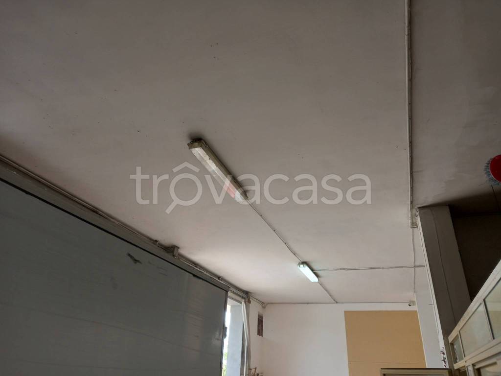 immagine annuncio 7 di 13