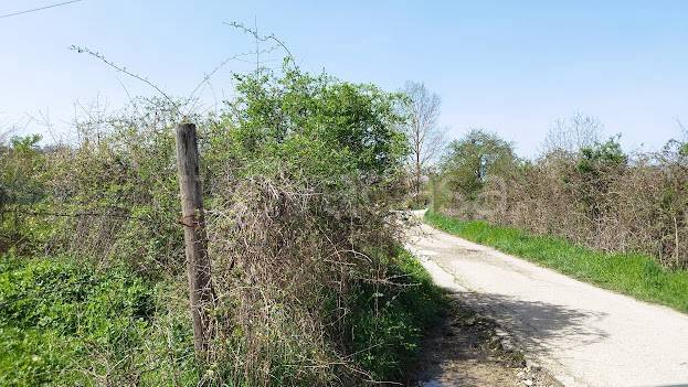 immagine annuncio 6 di 9