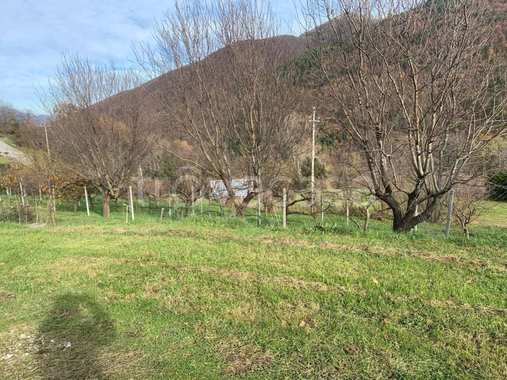 immagine annuncio 4 di 6