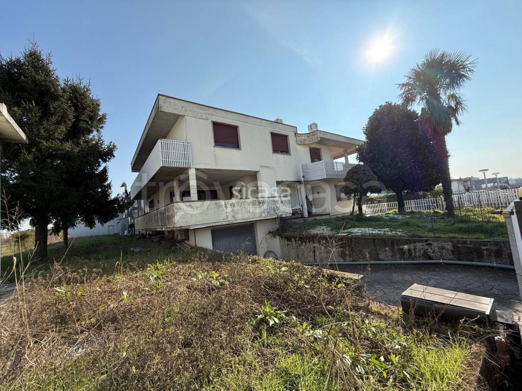 immagine annuncio 2 di 8
