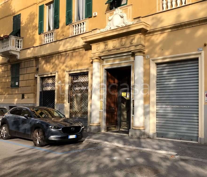 immagine annuncio 2 di 14