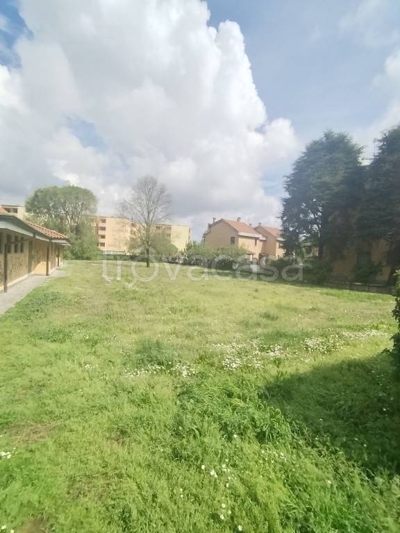 immagine annuncio 1 di 4