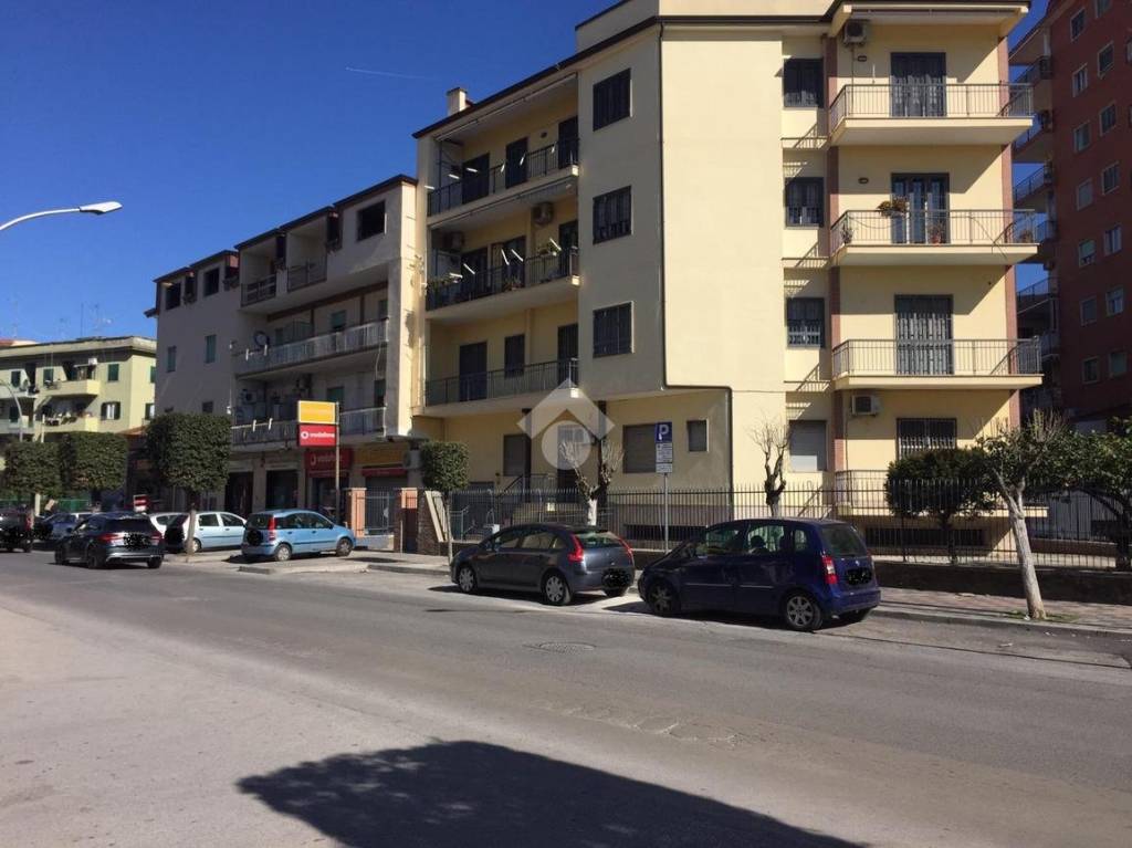 immagine annuncio 10 di 11