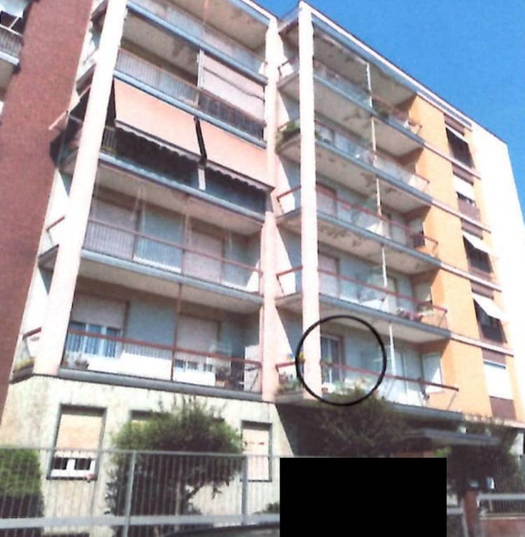 immagine annuncio 9 di 15