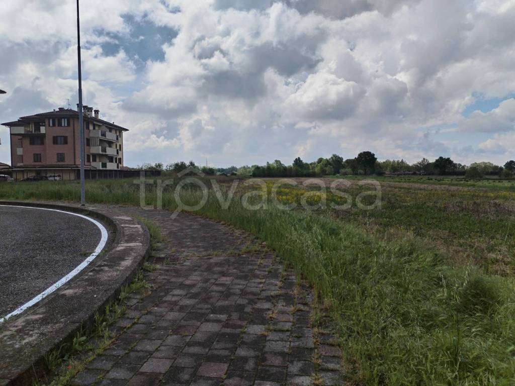 immagine annuncio 1 di 4