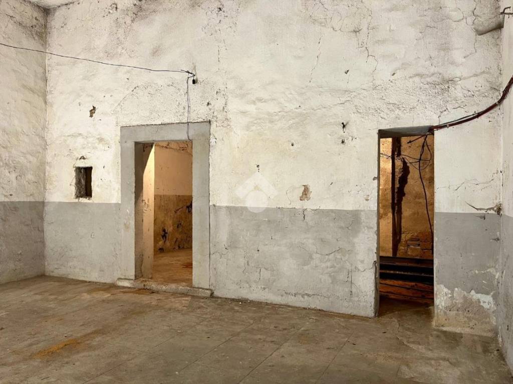 immagine annuncio 3 di 12