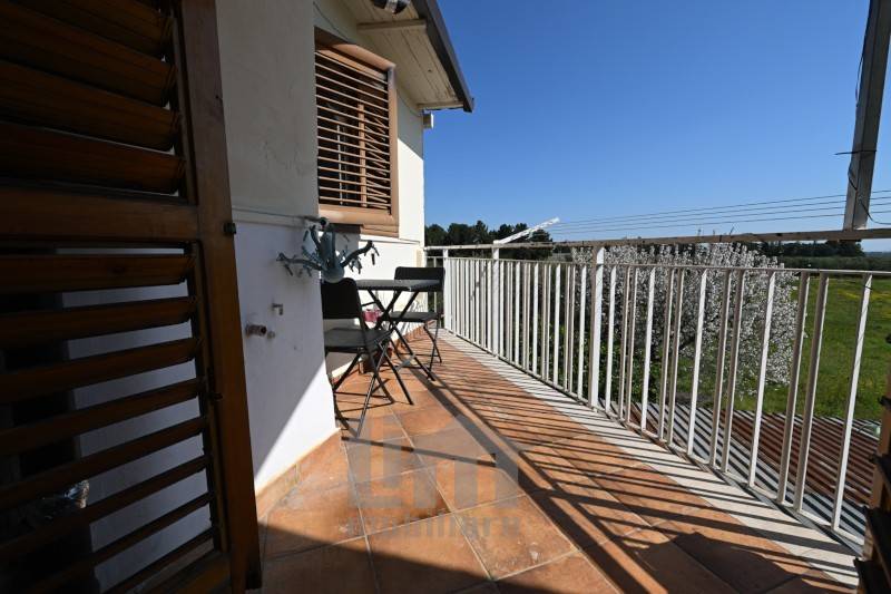 immagine annuncio 6 di 8