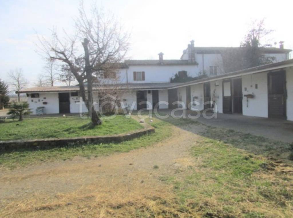immagine annuncio 4 di 11