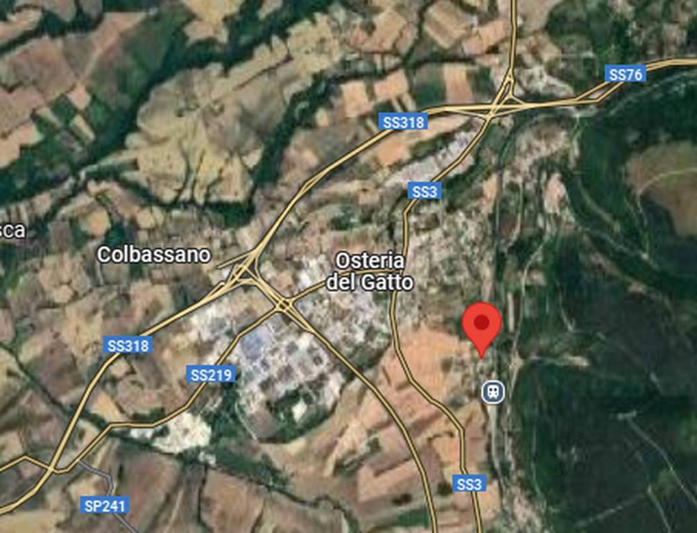 immagine annuncio 3 di 13