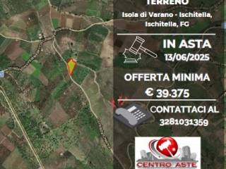 Terreno agricolo all'asta a ischitella sp47, 71010 ischitella fg, italia