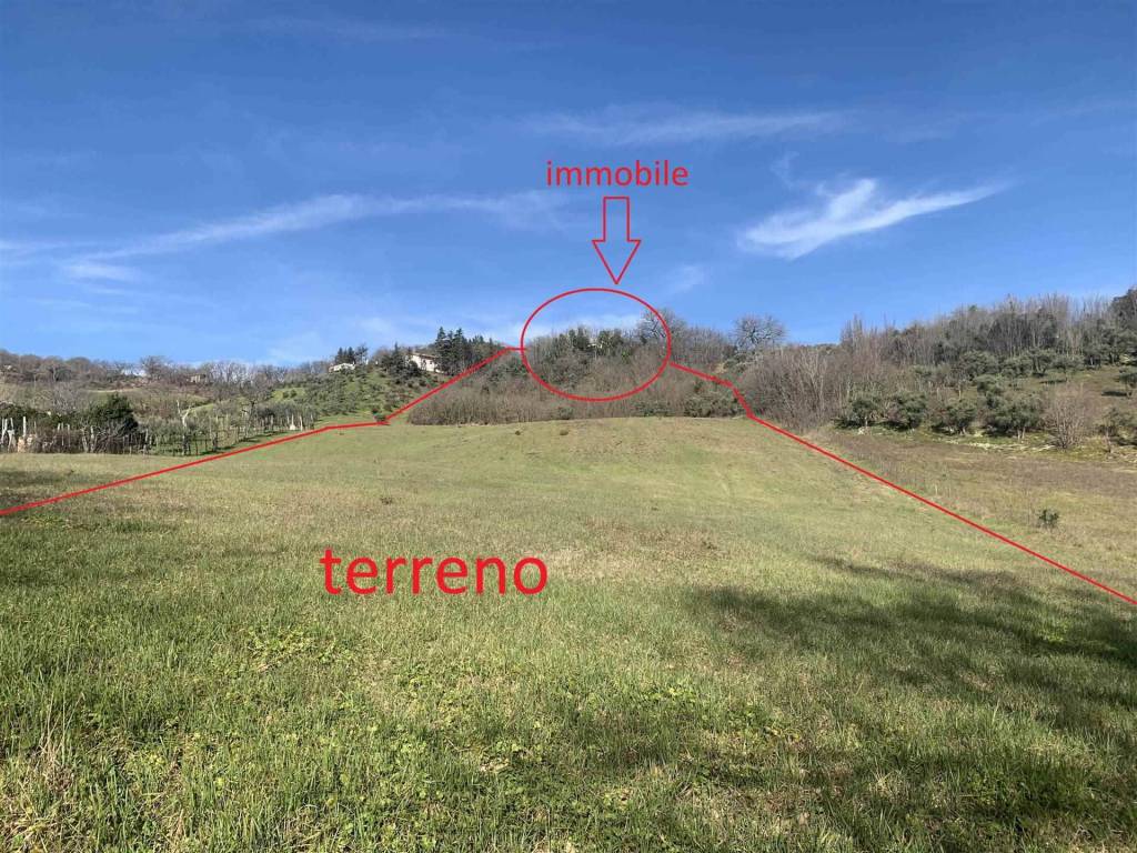 immagine annuncio 7 di 9