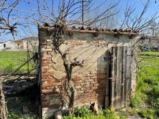immagine annuncio 8 di 14
