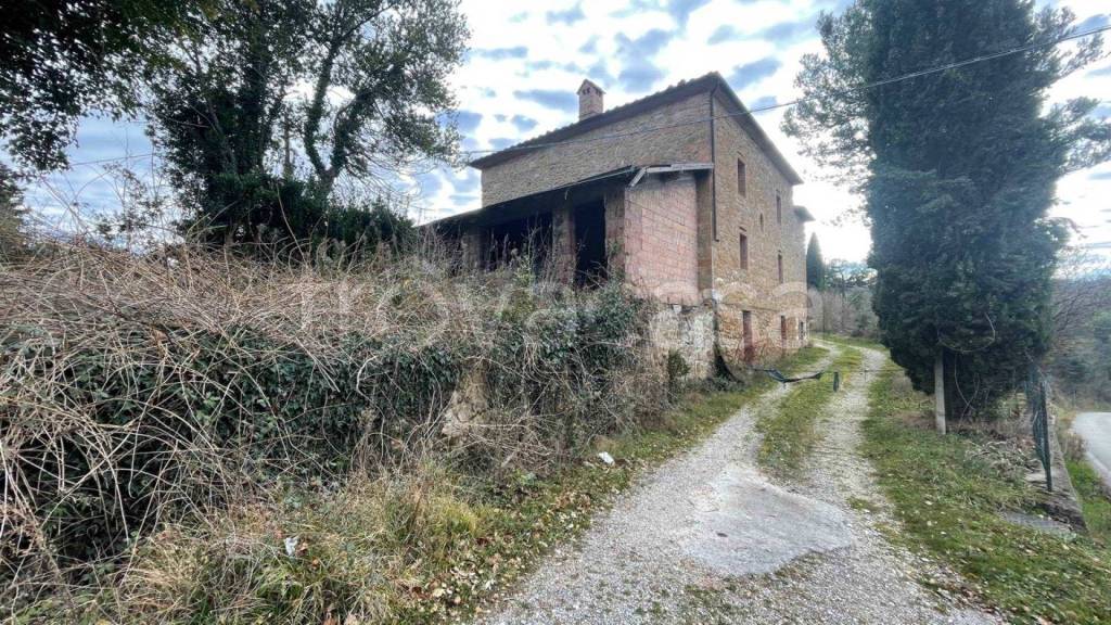 immagine annuncio 6 di 14