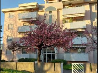 Appartamento in in vendita da privato a staranzano via 2 giugno, 4
