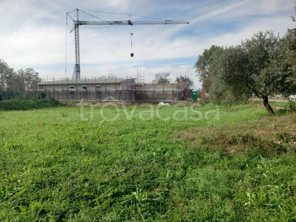 immagine annuncio 8 di 12