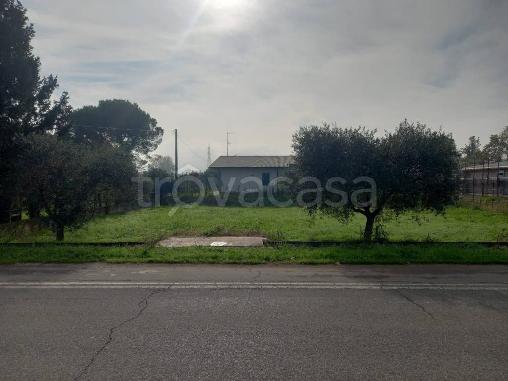 immagine annuncio 9 di 12