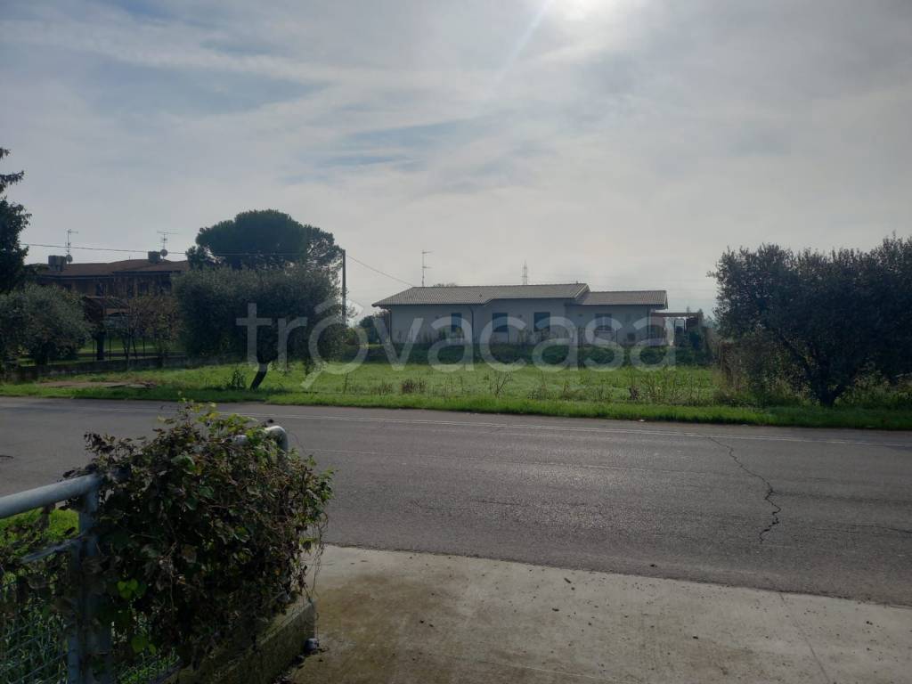 immagine annuncio 10 di 12