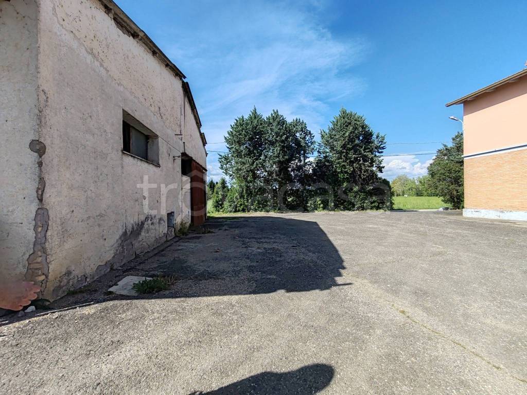immagine annuncio 2 di 14