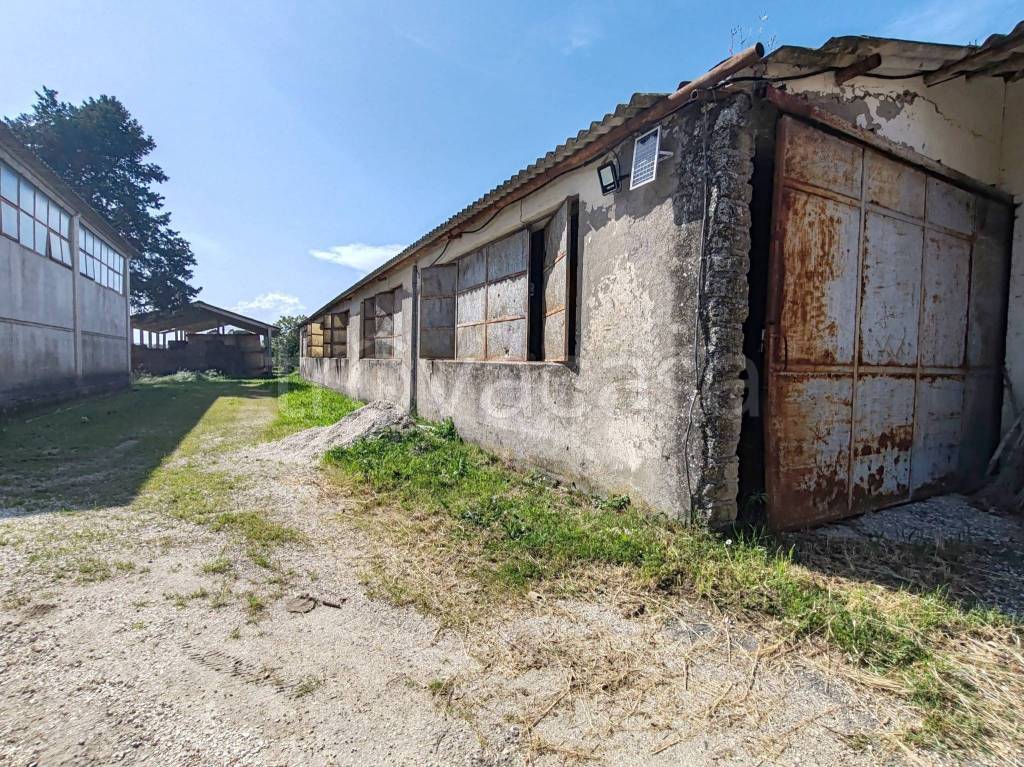 immagine annuncio 3 di 14