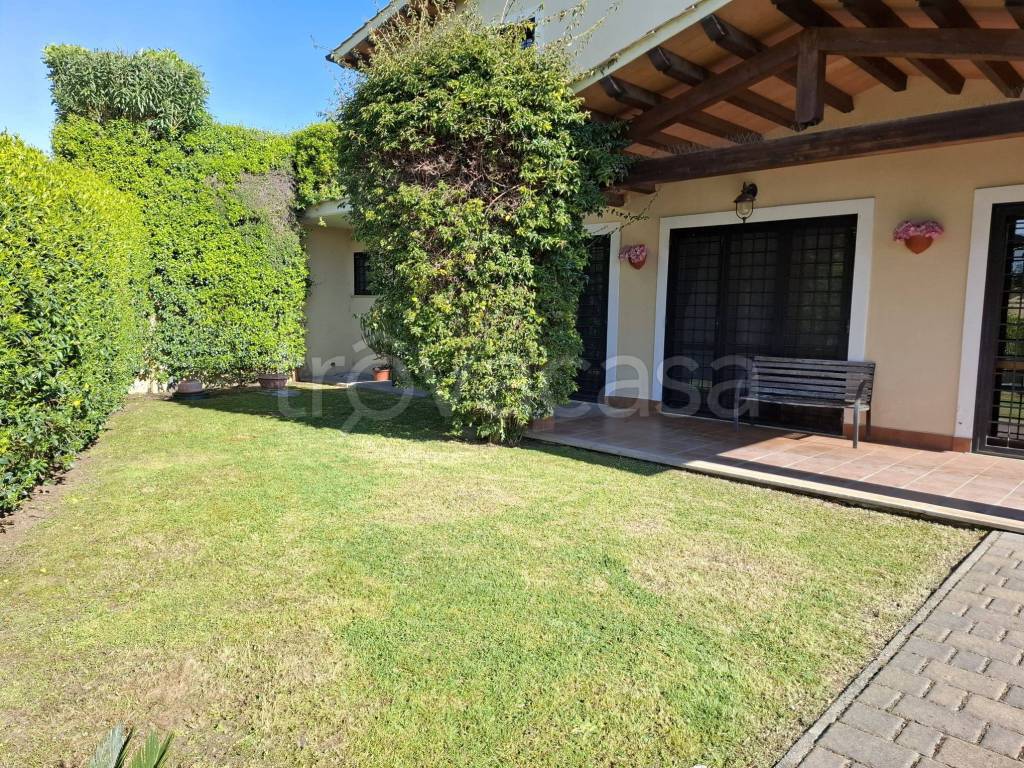 immagine annuncio 7 di 15